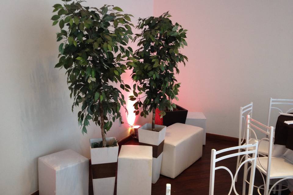 Cenica ambiente