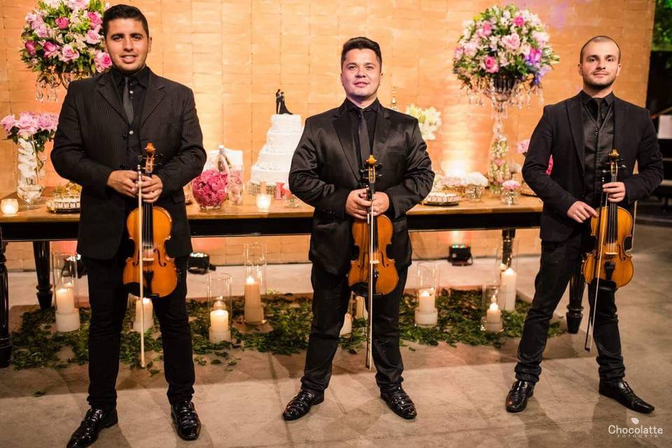 Trio de violinos performance