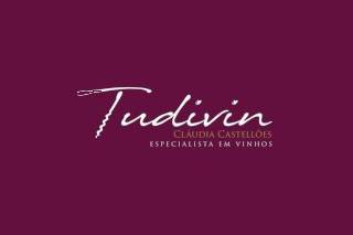 Logo Tudivin