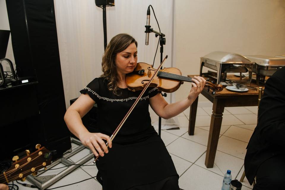 Violino