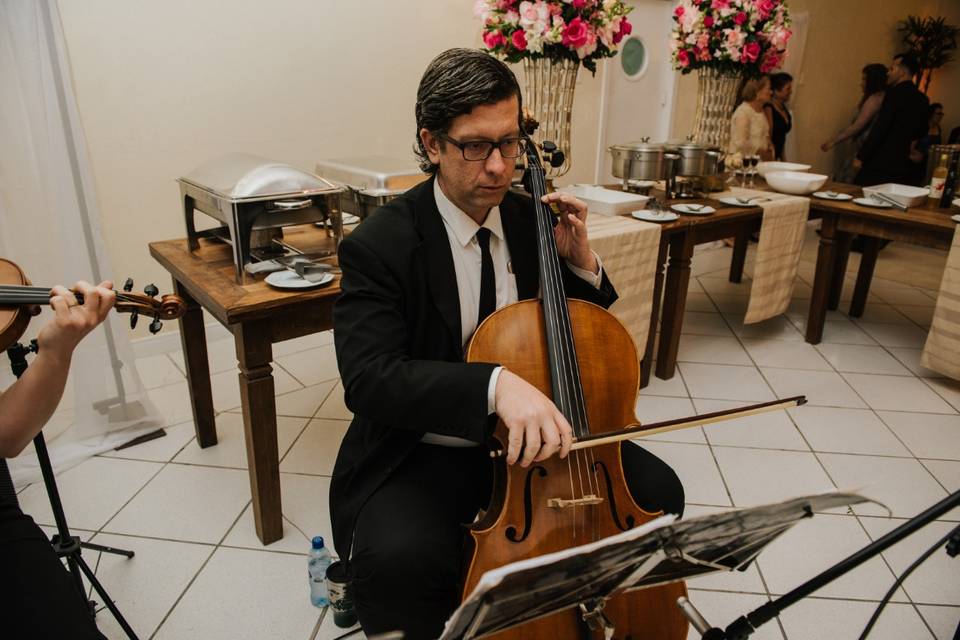 Violoncelo