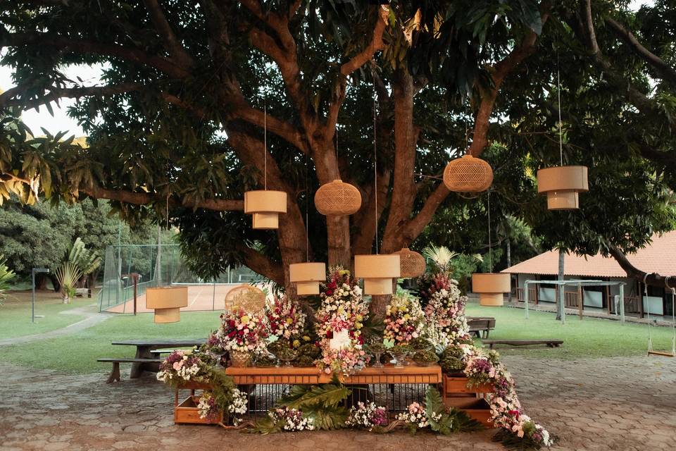 Jardim