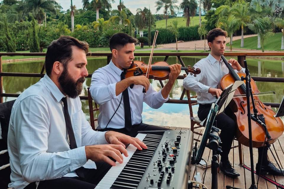TRIO: Teclado, Violino e Cello