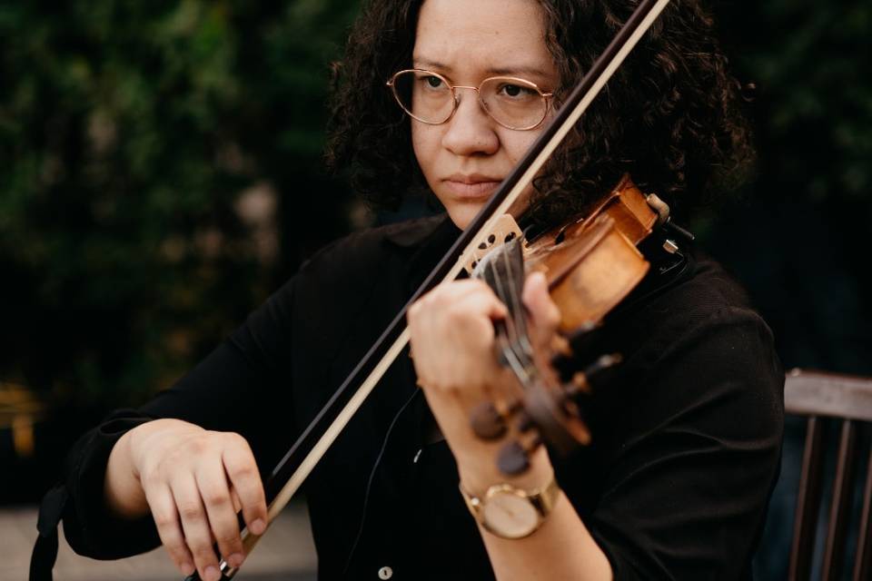 Violino