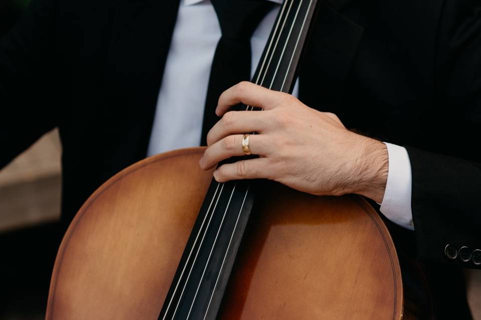 Violoncelo