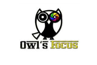 Owl's Focus