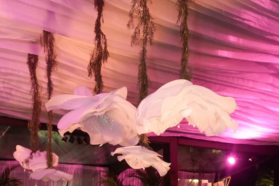 Mares Eventos