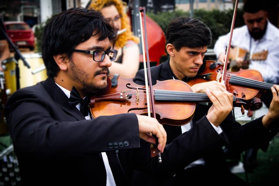 Violinistas