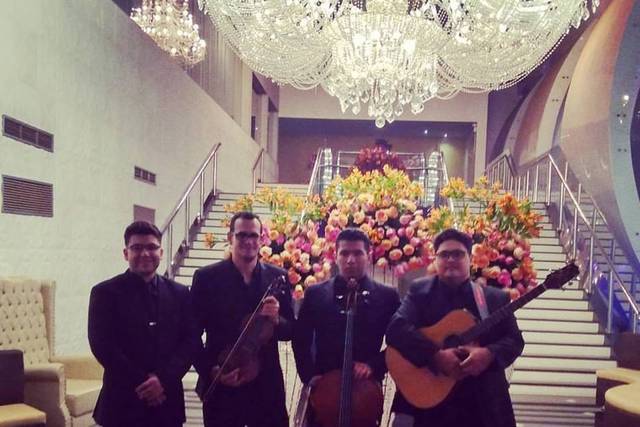 Quarteto de cordas-receptivo