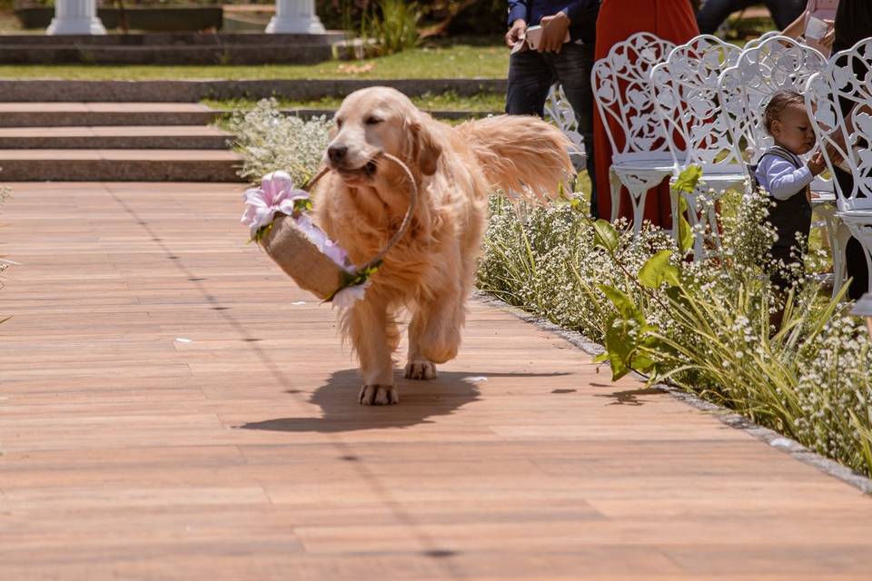 Detalhes desse casamento lindo