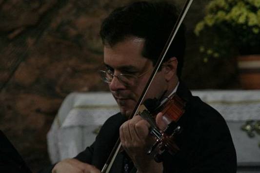 Violino