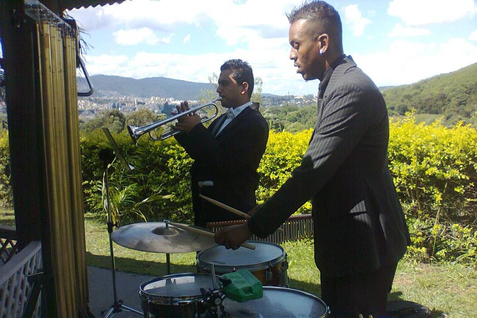 Músicos para casamento