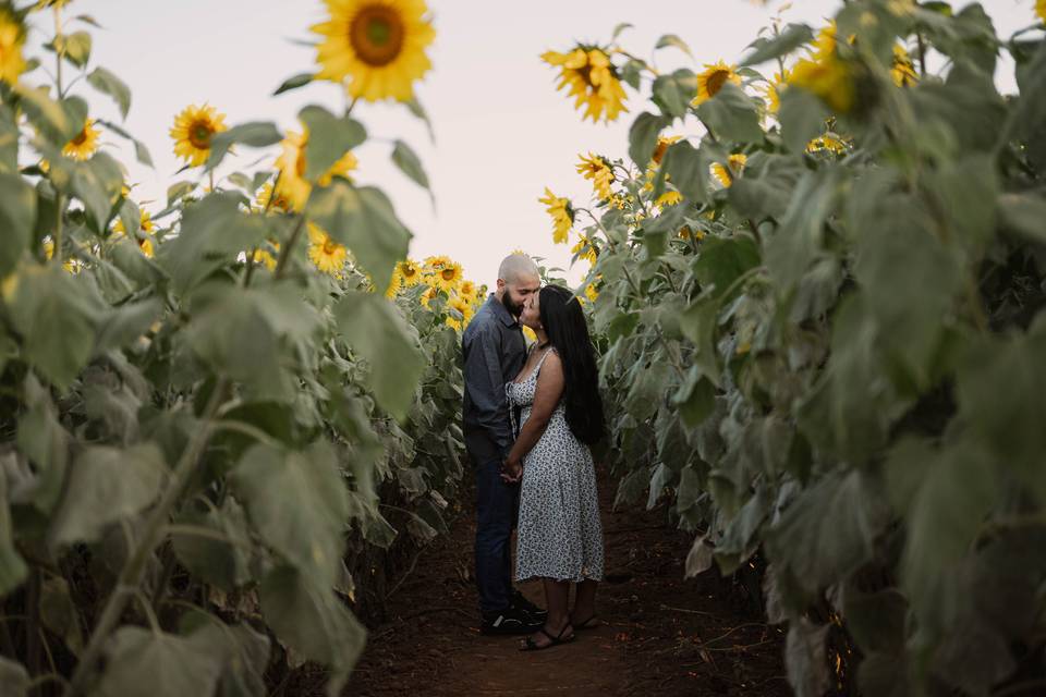 PRÉ WEDDING - Luis e Paloma