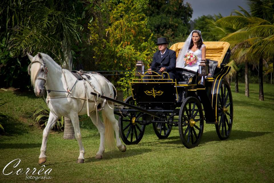 Corrêa Fotografia