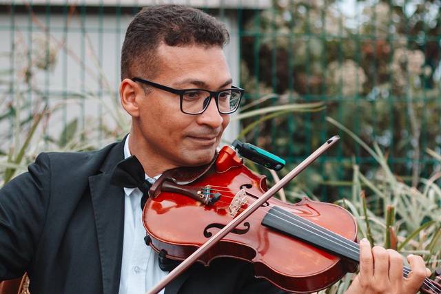Violino