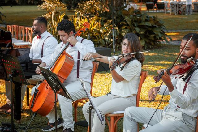 Piano, Violinos e Violoncelo
