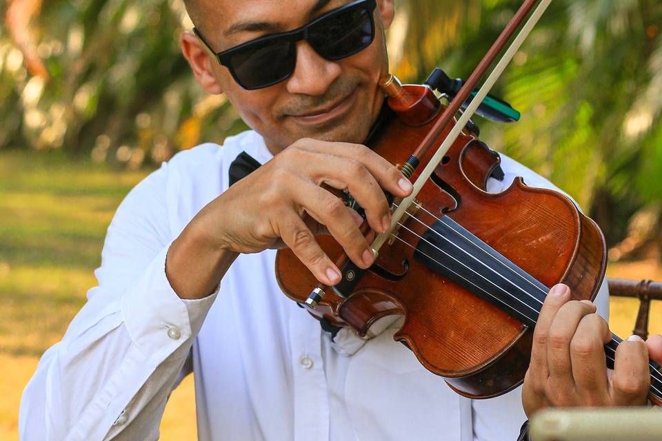 Violinista