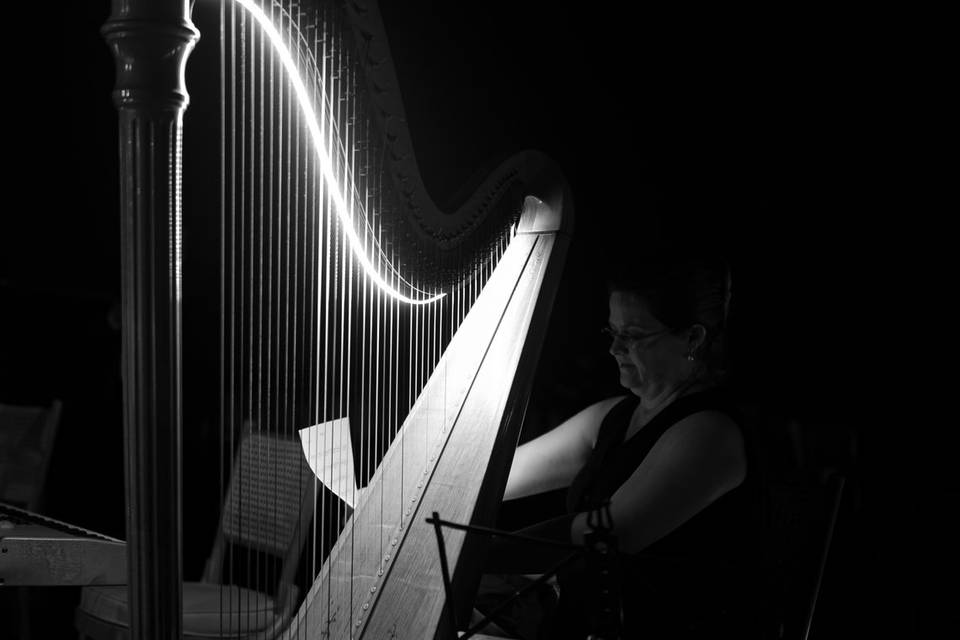 Harpa SInfonica