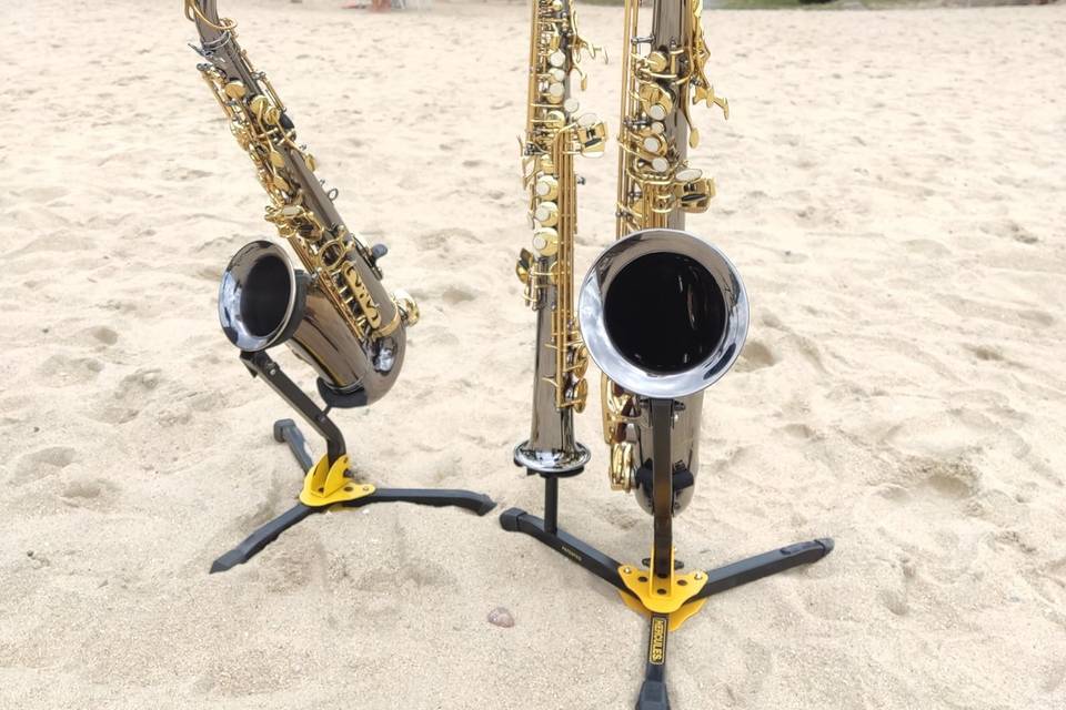 Setup saxofones