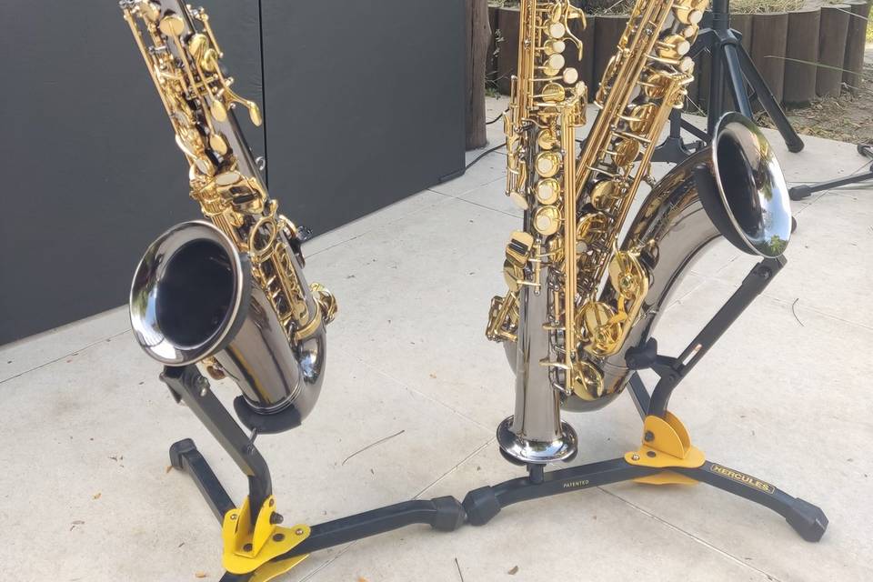 Setup sax