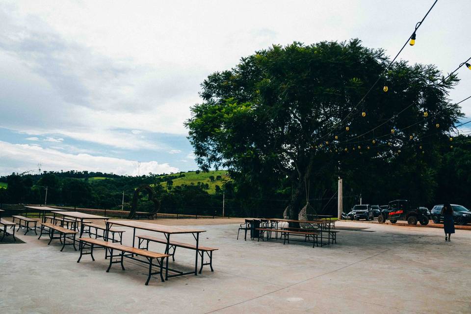 Deck Central