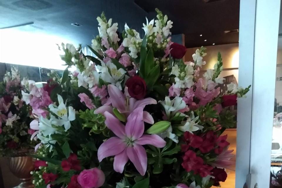 Flor de Laranjeira - Flores e Decorações