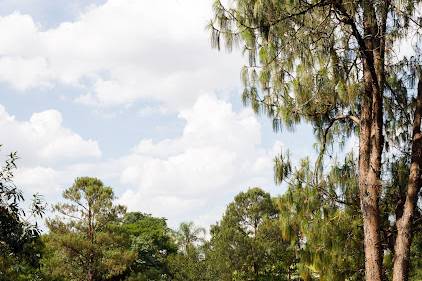 Área de Cerimonia