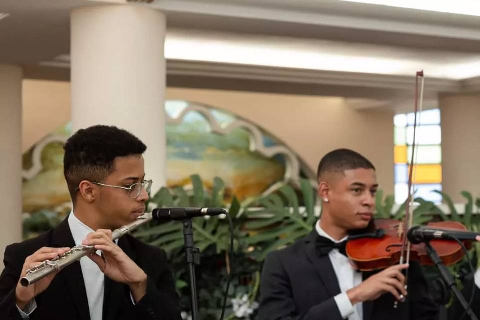 Flauta e violino