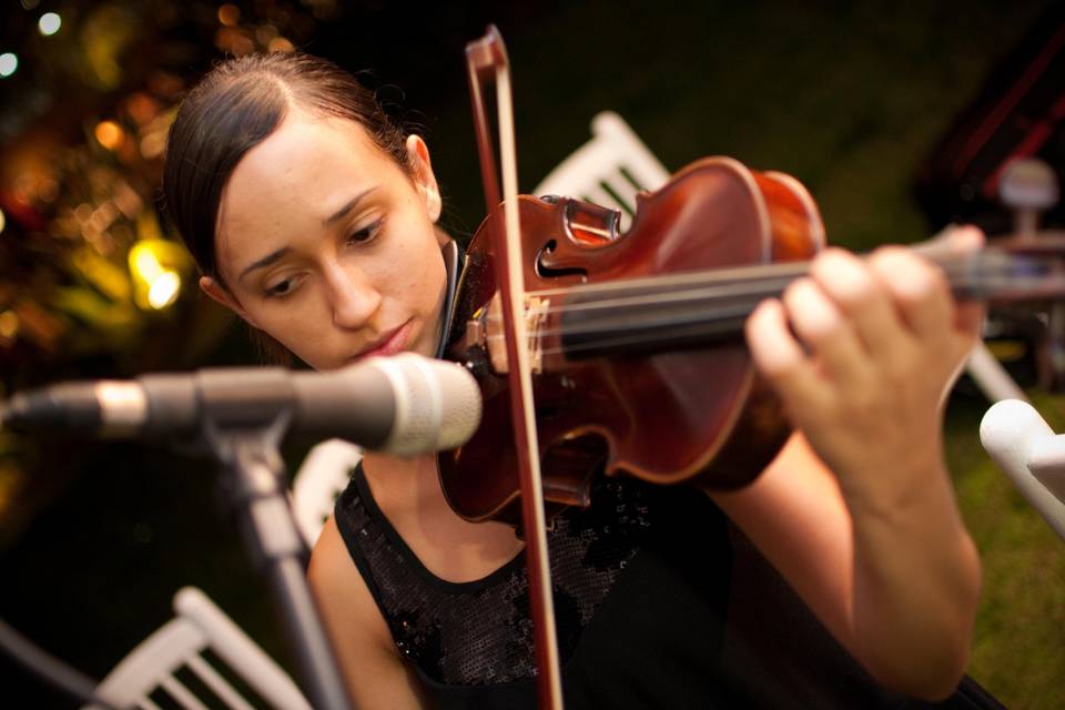 Violino