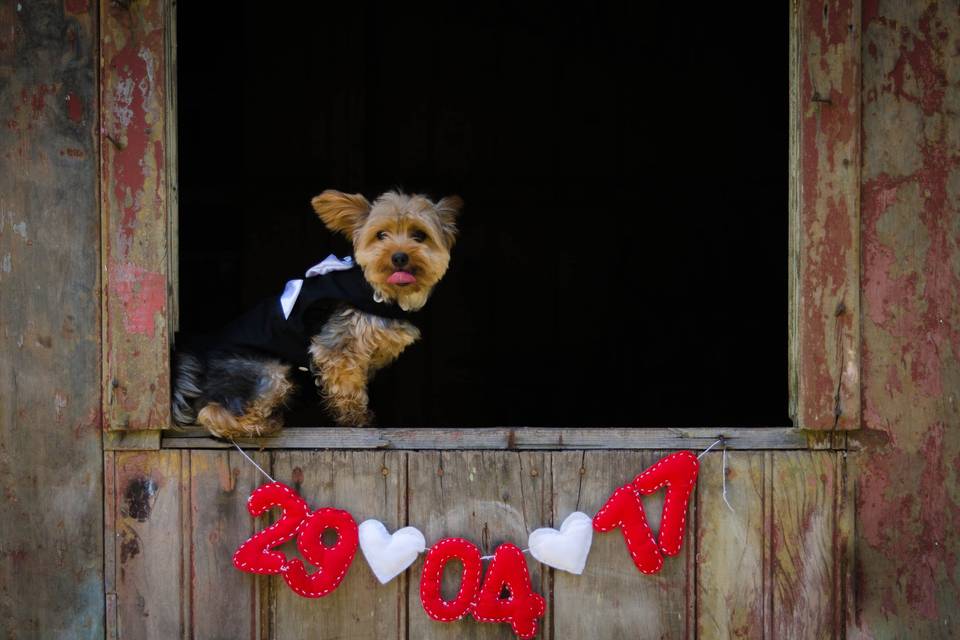 Ensaio Pré Casamento