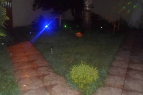 Animação casamentos