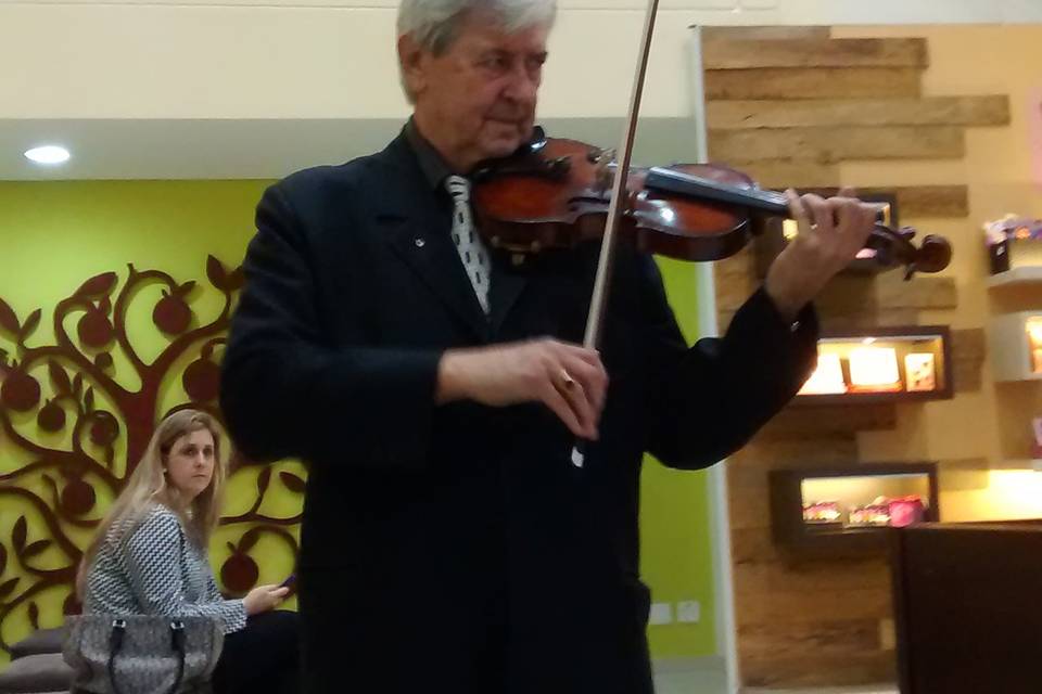 Violinista Solista
