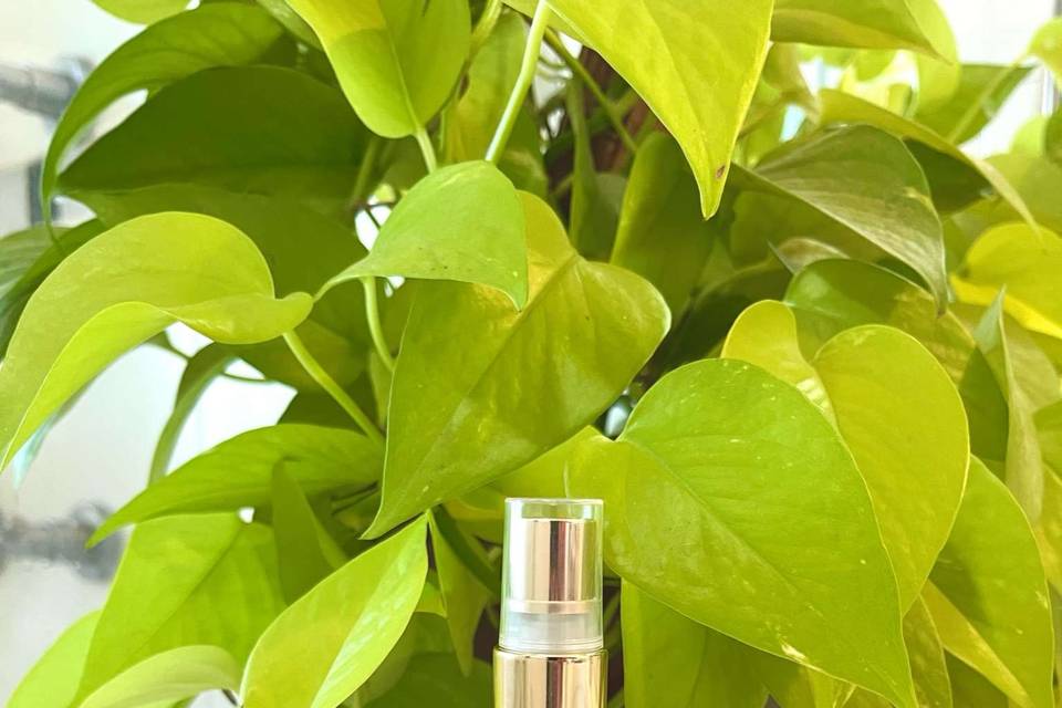Mini Aromatizador