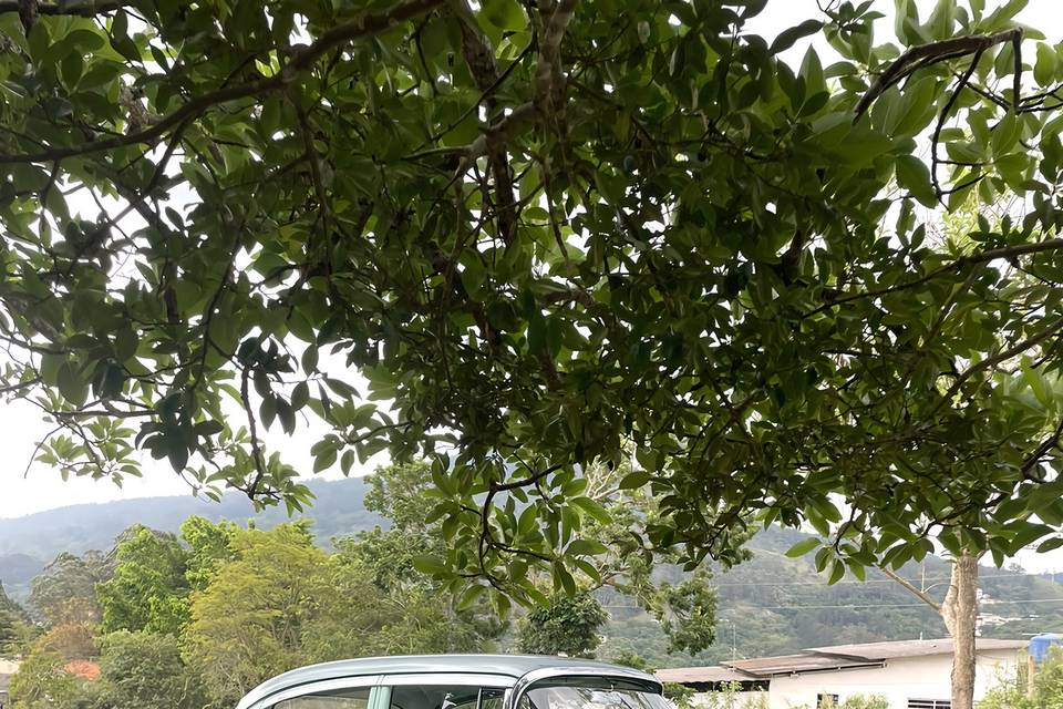 Cadillac