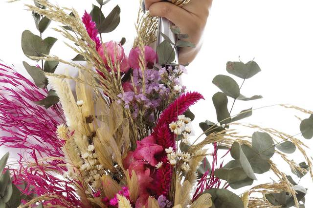 Claudia Nascimento Celebrações