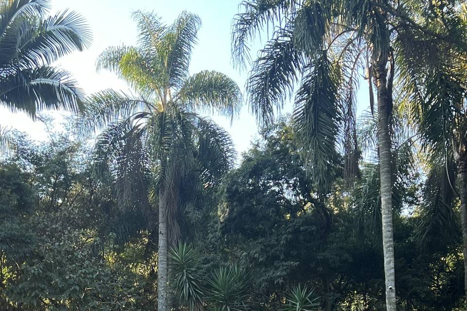 Realizar Sonhos é um Dom