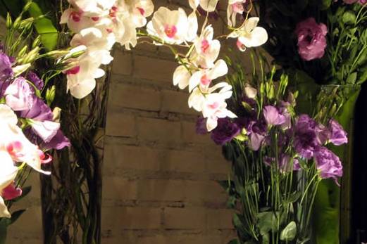 Flores exóticas
