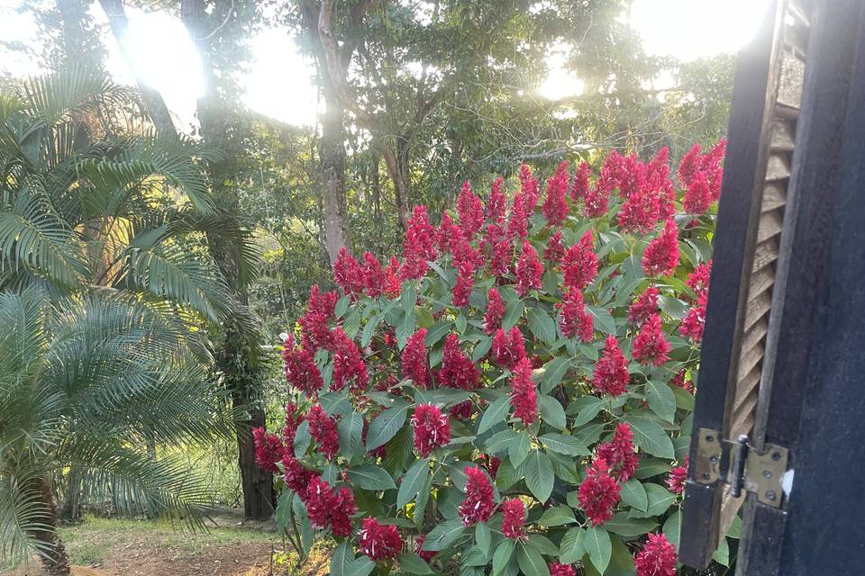 Natureza