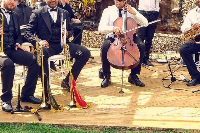 Orquestra Perfect Dream