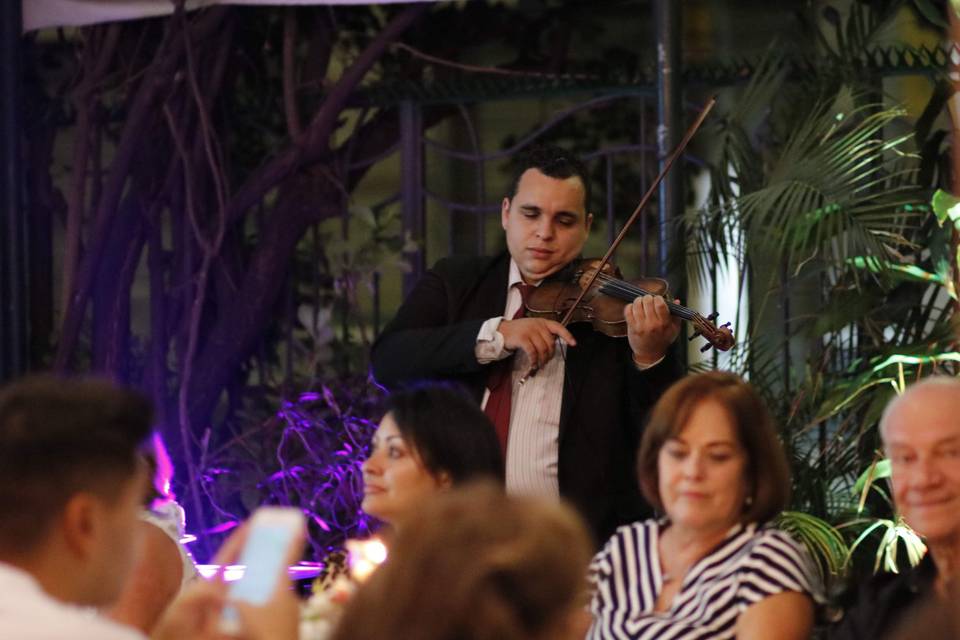 Violino solo