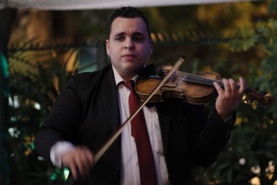 Violino solo