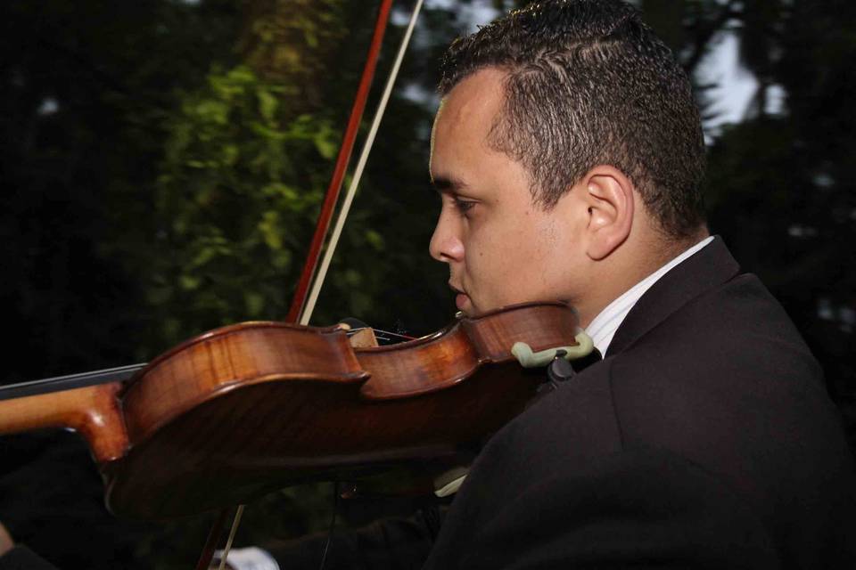 Igor Brito Violinista