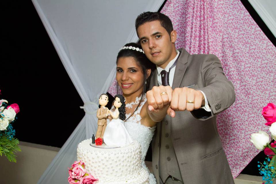 Casamento ana & vinicius