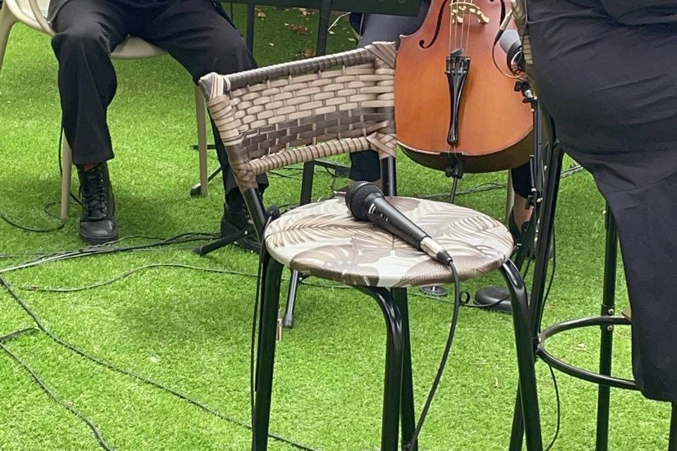 Violino e cello