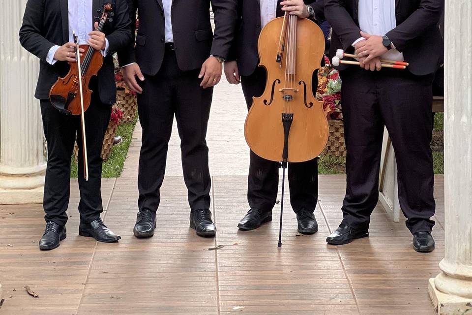 Quando a música é feita por qu