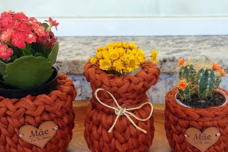 Mini cachepô suculenta
