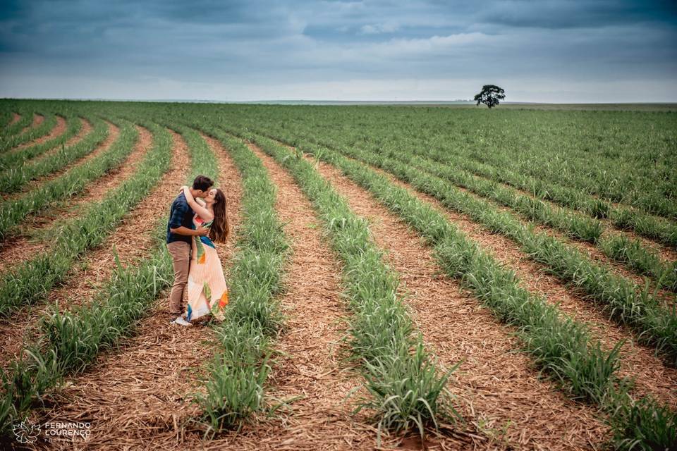 Fernando Lourenço Photografia