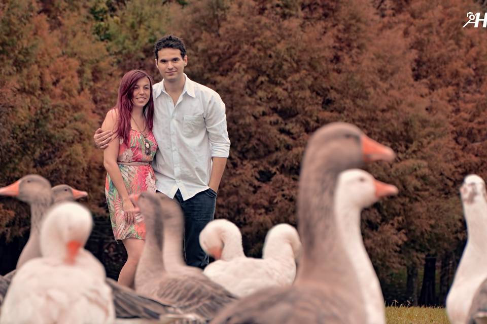 Ahmed Hareedy Fotografia