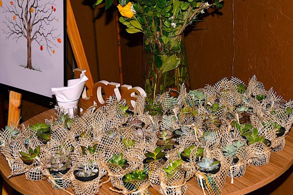 Casamento na Praia | Ubatuba |