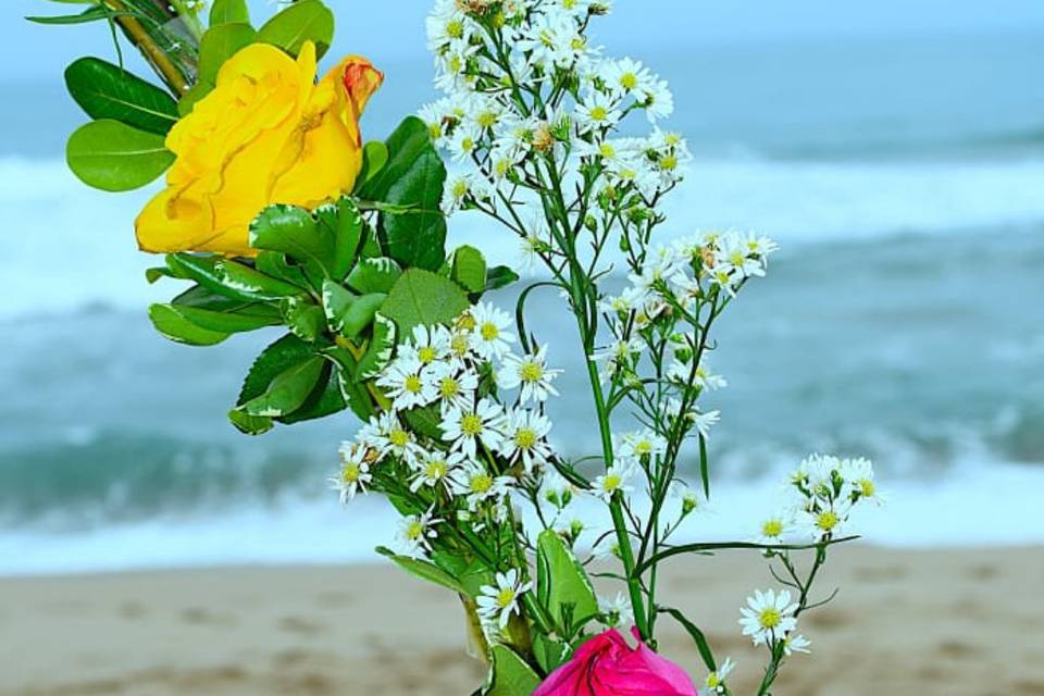 Casamento na Praia | Ubatuba |